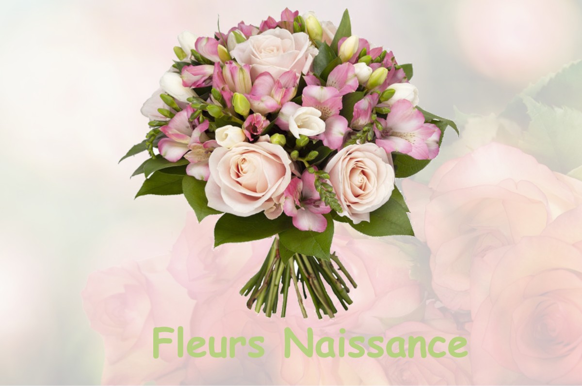 fleurs naissance LAVARS